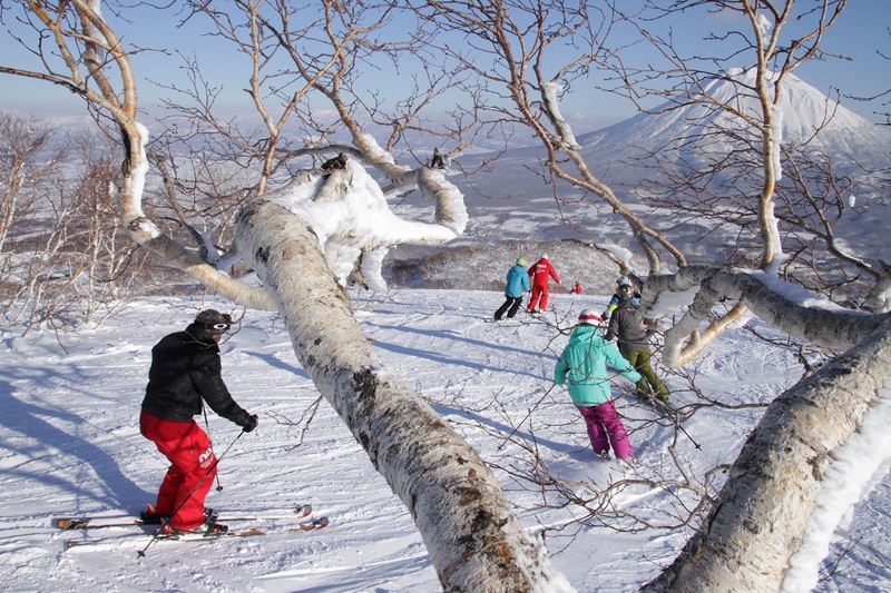Ski with Mount Yotei in Niseko