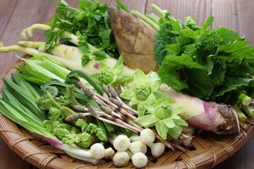 sansai mountain vegetables japan