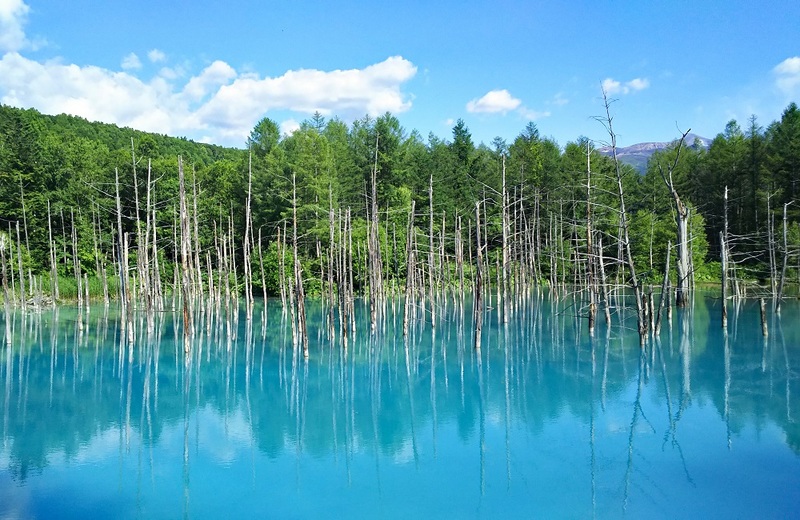 Aoiikei Blue Pond in Biei