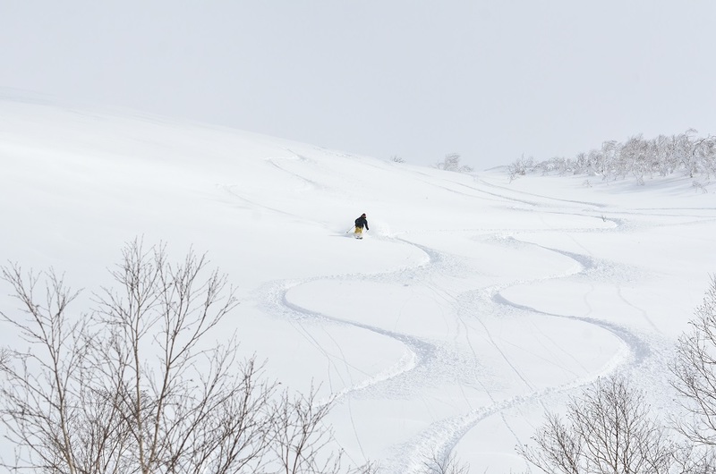 cat skiing tracks in niseko powder