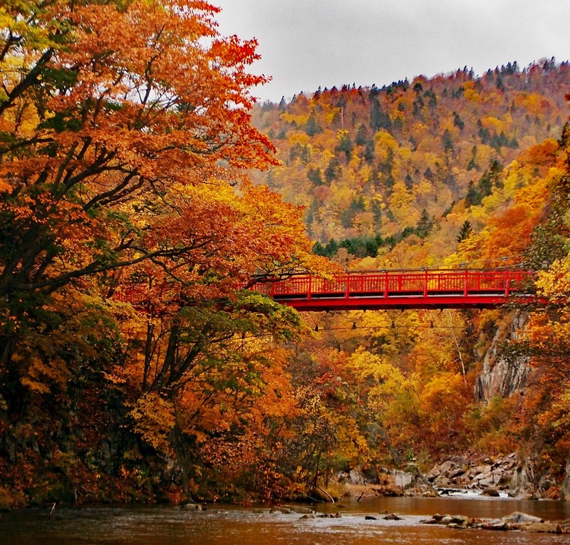 autumn leaves at Futami Suspension Bridge at Jozankei